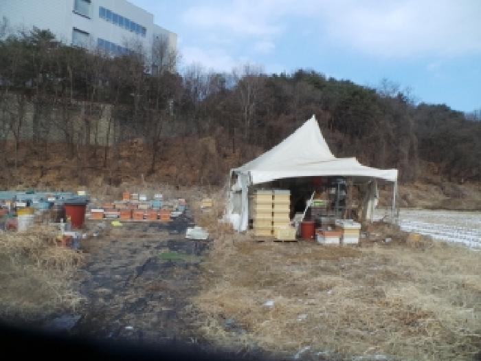 2025타경51080 전답 · 강원특별자치도 춘천시 동내면 거두리 395-16