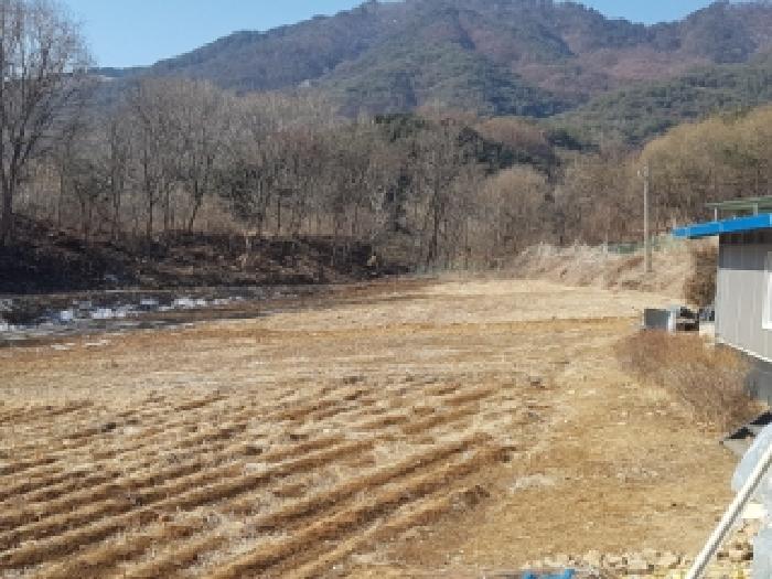 2026타경50050 · 강원특별자치도 양구군 양구읍 학조리 513-3