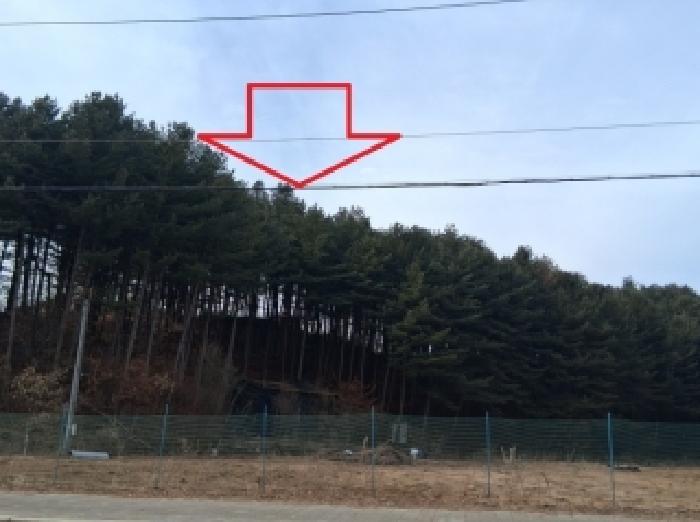 2026타경50077 임야 · 강원특별자치도 춘천시 서면 신매리 637-23