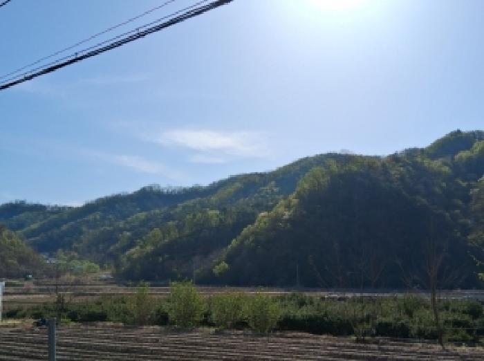2026타경50119 임야 · 강원특별자치도 춘천시 서면 안보리 산90-3