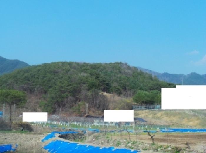 2026타경50137 임야 · 강원특별자치도 홍천군 남면 시동리 산63