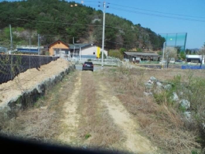 2026타경50164 임야 · 강원특별자치도 홍천군 영귀미면 덕치리 산57-1