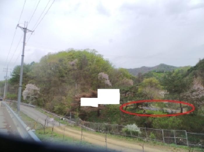 2026타경52 임야 · 강원특별자치도 홍천군 서면 마곡리 산59