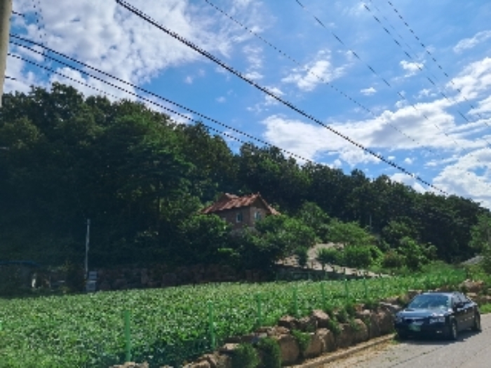 2024타경53972 임야 · 강원특별자치도 동해시 지흥동 산68
