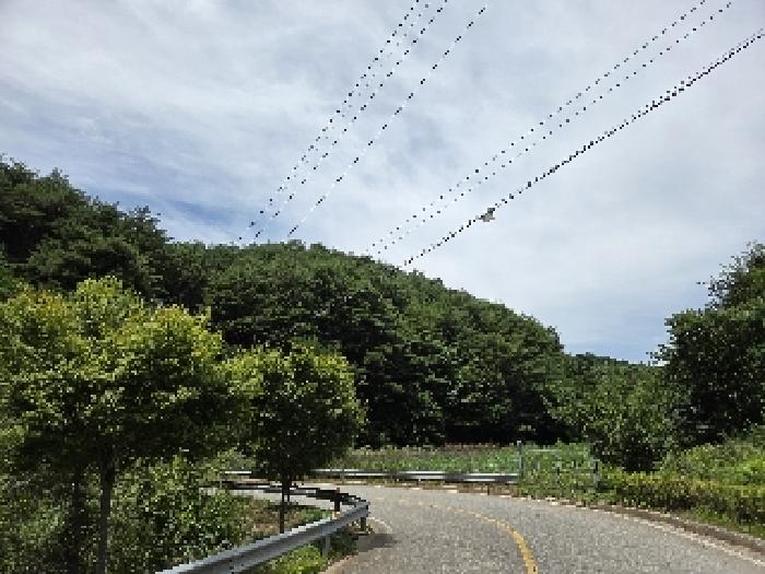 2025타경229 임야 · 강원특별자치도 삼척시 근덕면 상맹방리 산127