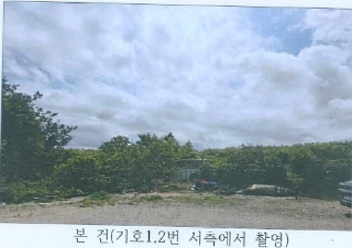 2025타경245 임야 · 강원특별자치도 강릉시 안현동 산61-7