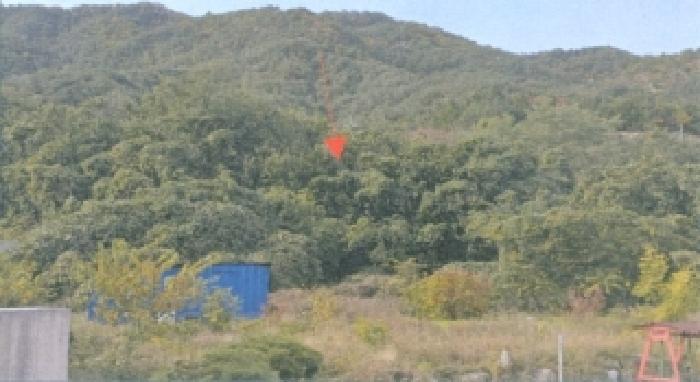 2025타경266 · 강원특별자치도 삼척시 근덕면 용화리 297-1