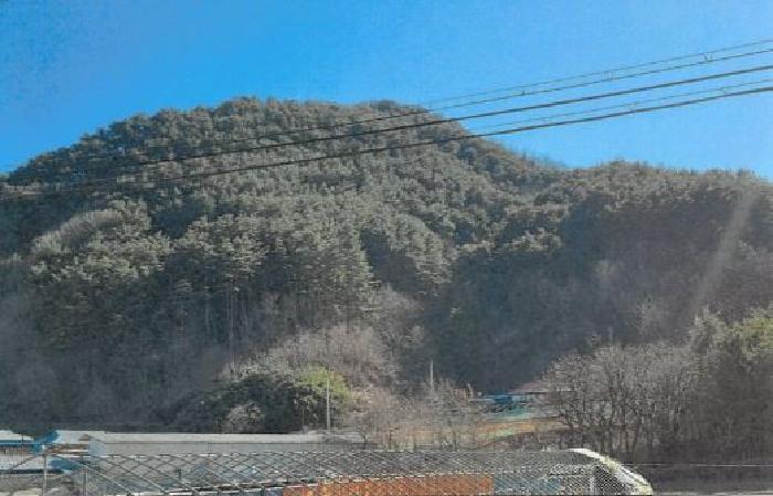 2025타경30444 임야 · 강원특별자치도 삼척시 적노동 산26