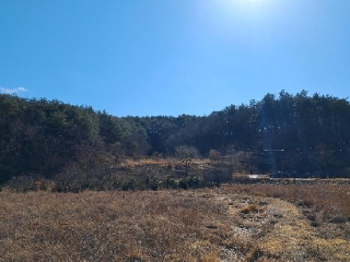 2025타경30449 대지 · 강원특별자치도 강릉시 성산면