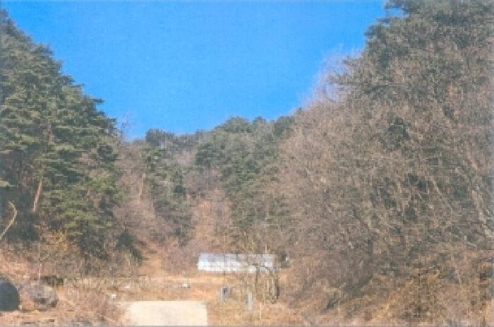 2025타경30471 임야 · 강원특별자치도 삼척시 평전동