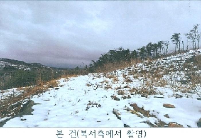 2025타경30477 임야 · 강원특별자치도 동해시 발한동