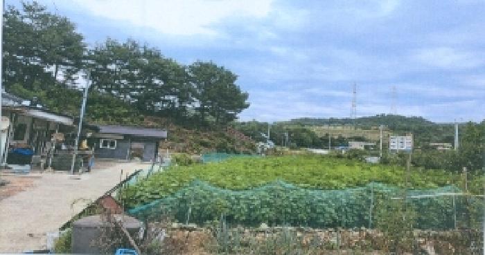 2025타경30723 · 강원특별자치도 삼척시 원덕읍 옥원리 355-2