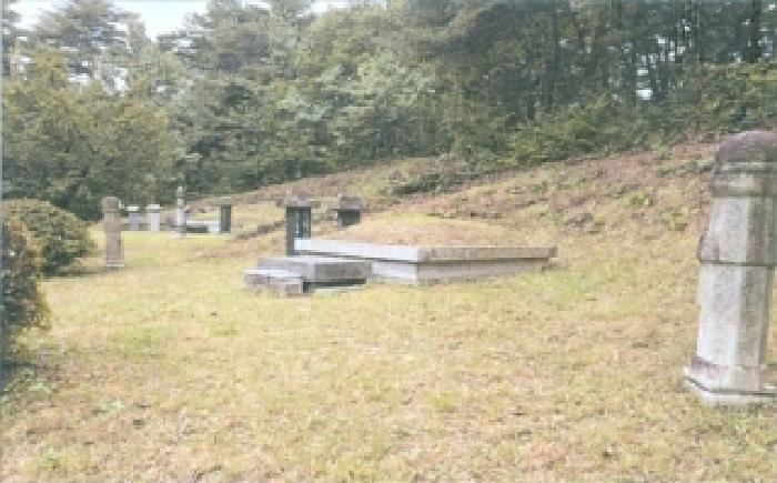 2025타경30762 임야 · 강원특별자치도 강릉시 박월동 산33