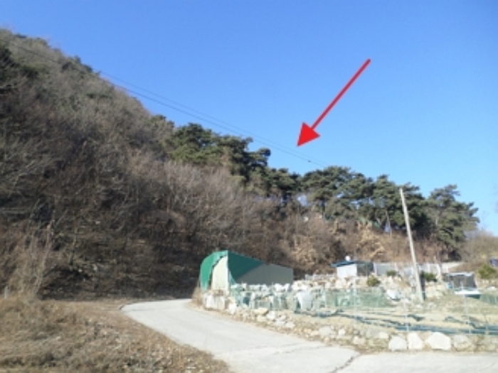 2024타경406258 임야 · 강원특별자치도 원주시 귀래면 귀래리 산102-9