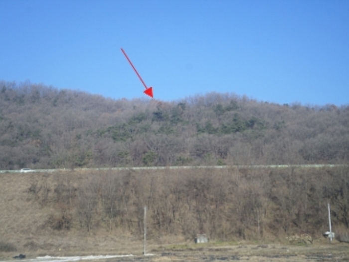 2024타경406524 임야 · 강원특별자치도 원주시 소초면