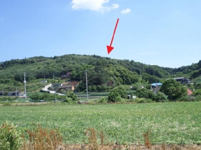 2025타경1070 임야 · 강원특별자치도 원주시 소초면 수암리 산51