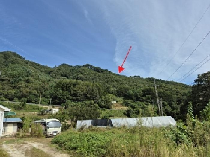 2025타경1711 임야 · 강원특별자치도 원주시 신림면 구학리 산94