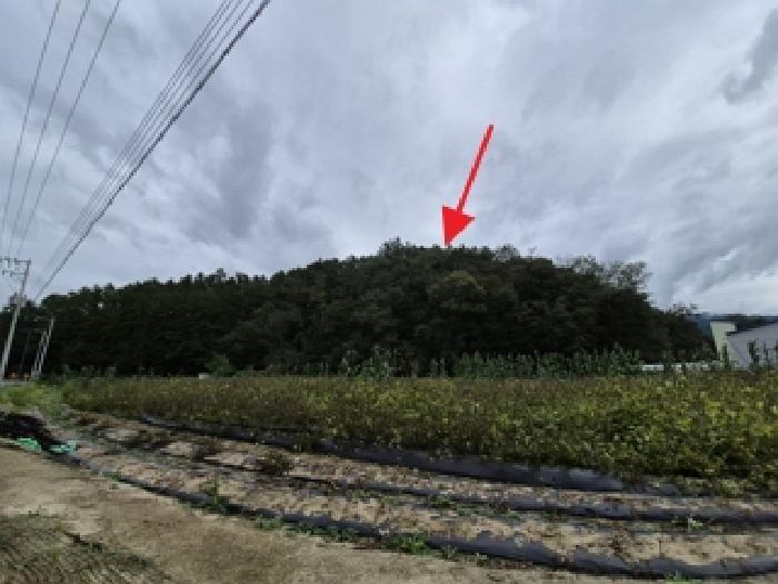 2025타경2011 임야 · 강원특별자치도 원주시 봉산동 산182-3