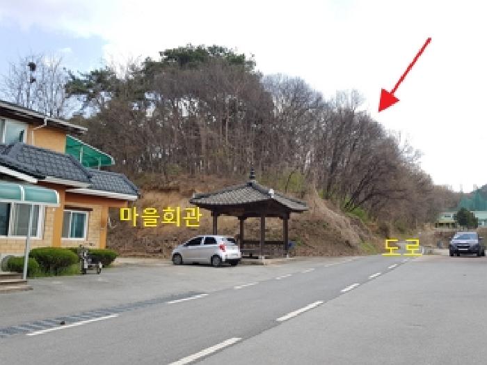 2025타경20537 임야 · 강원특별자치도 횡성군 횡성읍