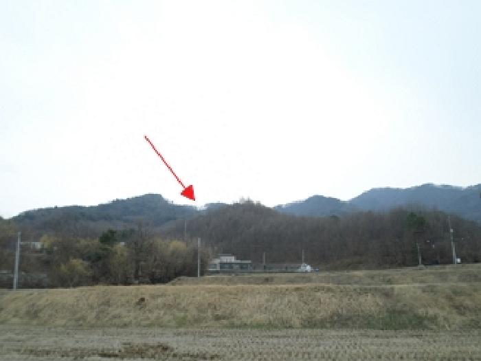 2025타경20539 임야 · 강원특별자치도 원주시 흥업면