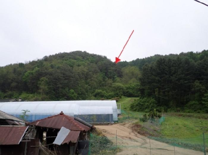 2025타경20621 임야 · 강원특별자치도 횡성군 둔내면 자포곡리 산195-14