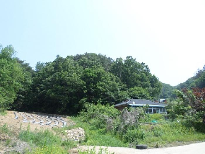 2025타경20642 임야 · 강원특별자치도 원주시 문막읍