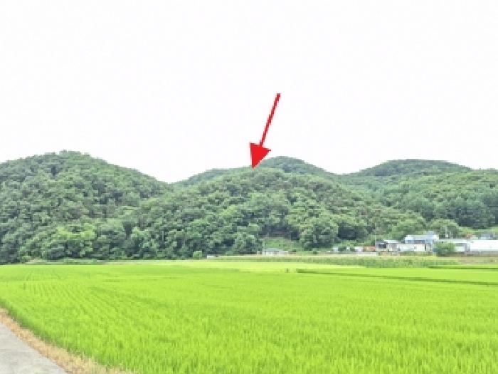 2025타경20682 임야 · 강원특별자치도 원주시 호저면