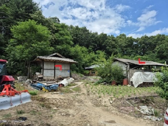 2025타경20707 대지 · 강원특별자치도 횡성군 횡성읍