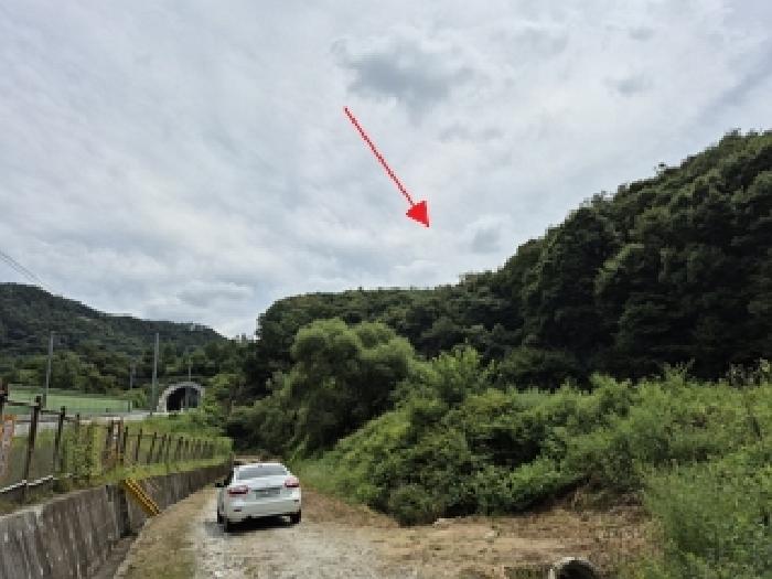 2025타경20829 임야 · 강원특별자치도 원주시 지정면 판대리 산102