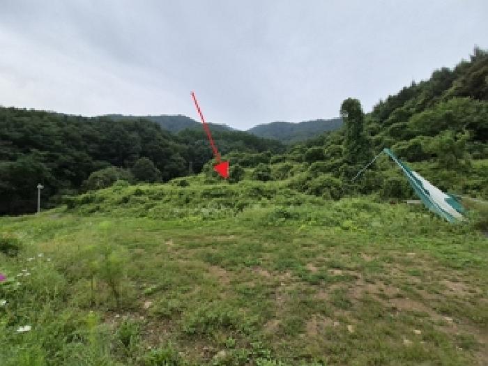 2025타경20848 대지 · 강원특별자치도 원주시 판부면