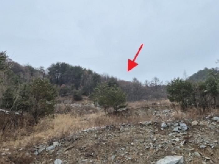 2025타경21094 임야 · 강원특별자치도 횡성군 우천면 하궁리 산145