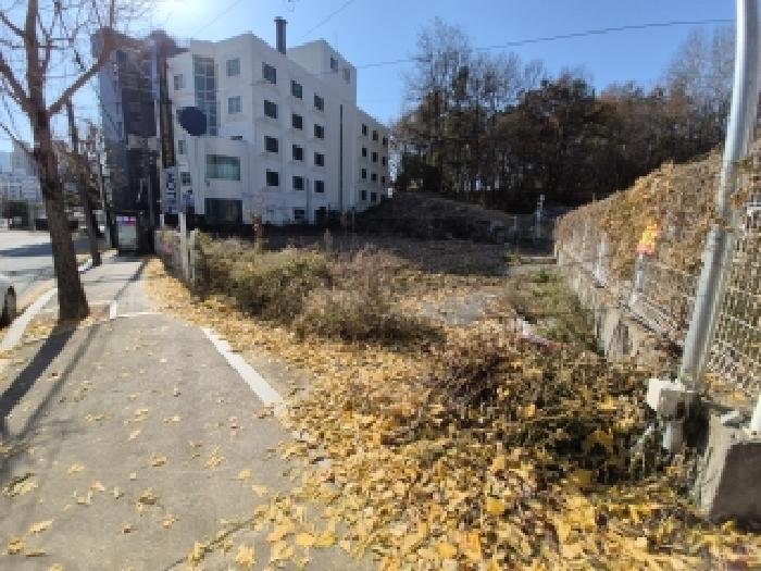 2025타경2462 대지 · 강원특별자치도 원주시 문막읍