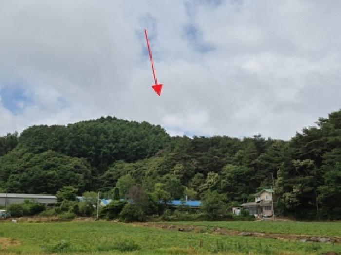 2025타경794 임야 · 강원특별자치도 횡성군 안흥면
