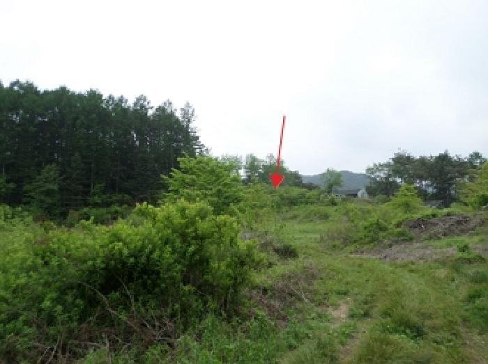 2025타경831 임야 · 강원특별자치도 횡성군 안흥면