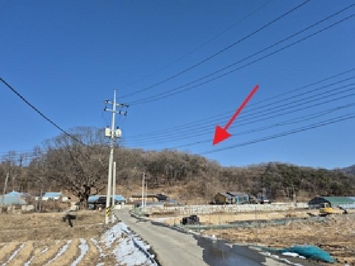 2026타경50014 임야 · 강원특별자치도 원주시 소초면 둔둔리 산42-3
