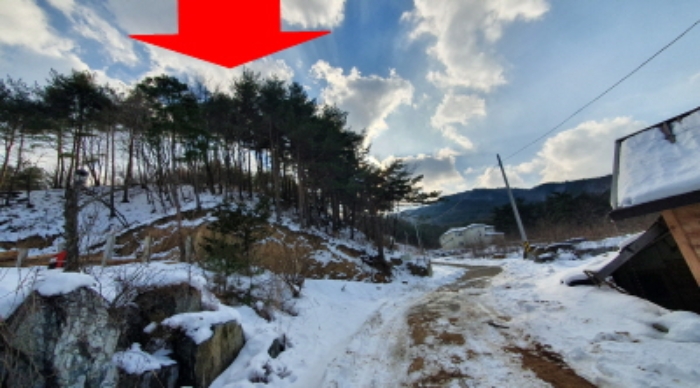 2021타경11683 임야 · 강원도 속초시 노학동