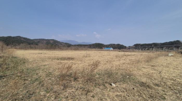 2025타경10224 임야 · 강원특별자치도 양양군 서면 북평리 407-28