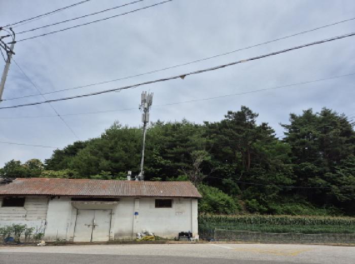 2025타경10291 임야 · 강원특별자치도 고성군 거진읍 화포리 산157-7