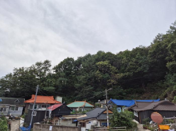 2025타경10355 임야 · 강원특별자치도 고성군 거진읍