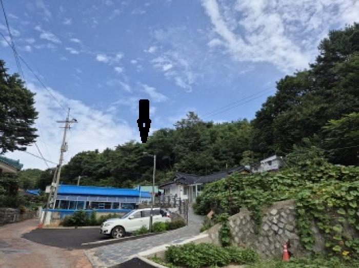 2025타경10359 임야 · 강원특별자치도 고성군 거진읍