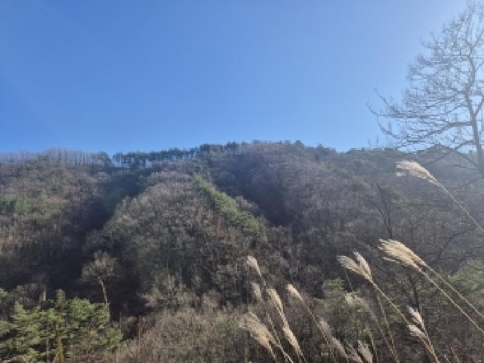 2025타경10417 임야 · 강원특별자치도 양양군 서면