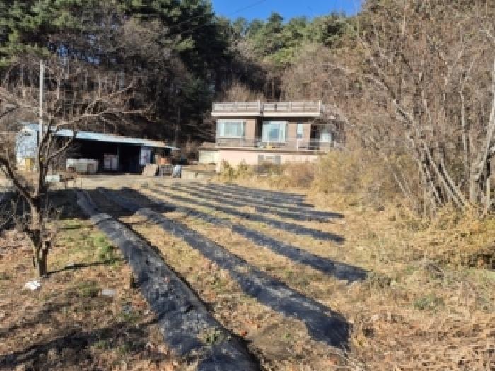 2025타경10433 전답 · 강원특별자치도 양양군 양양읍