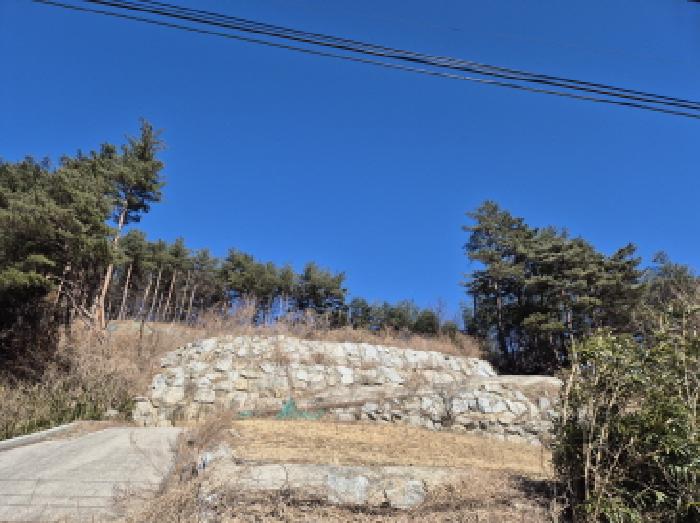 2025타경193 임야 · 강원특별자치도 양양군 현남면