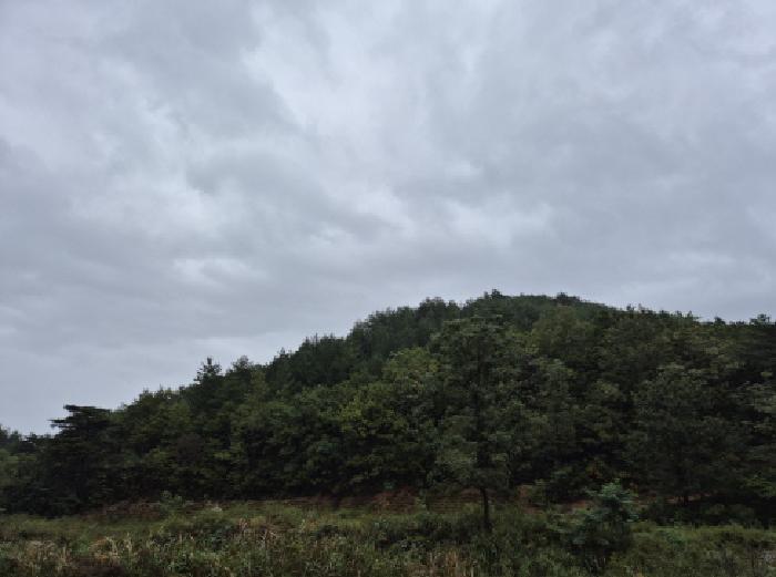 2025타경289 임야 · 강원특별자치도 고성군 죽왕면