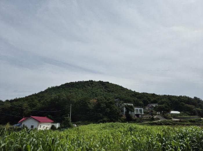 2025타경291 임야 · 강원특별자치도 고성군 죽왕면