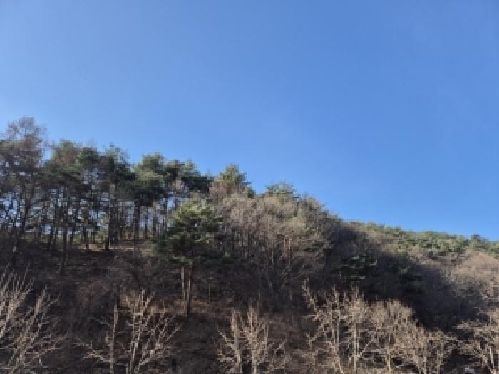 2026타경15 · 강원특별자치도 양양군 서면 논화리 349-1