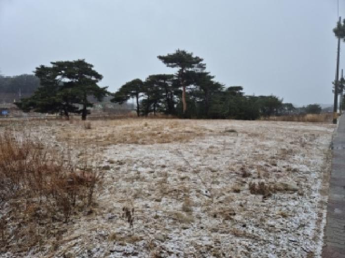 2026타경23 임야 · 강원특별자치도 고성군 거진읍 송포리 138-14
