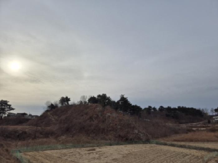 2026타경5 임야 · 강원특별자치도 고성군 죽왕면 가진리 233-1