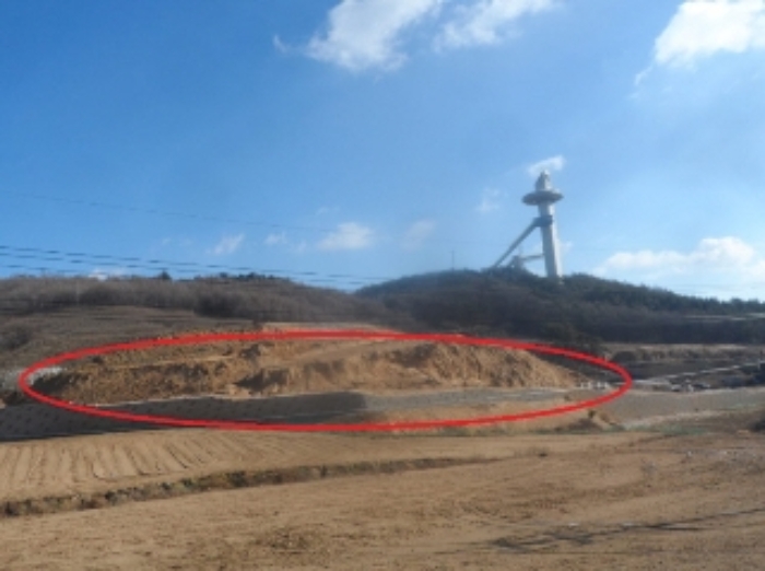 2022타경202243 임야 · 강원도 평창군 대관령면
