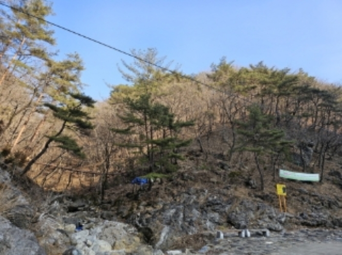 2023타경13167 대지 · 강원특별자치도 평창군 미탄면